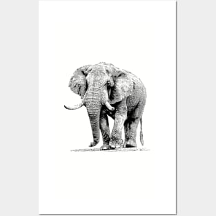 Elephant Bull Taking a Walk | African Wildlife Posters and Art